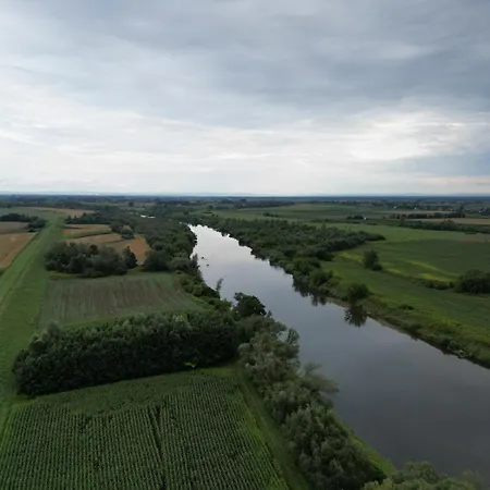 Agrokrówka - W Niecieczy Nieciecza