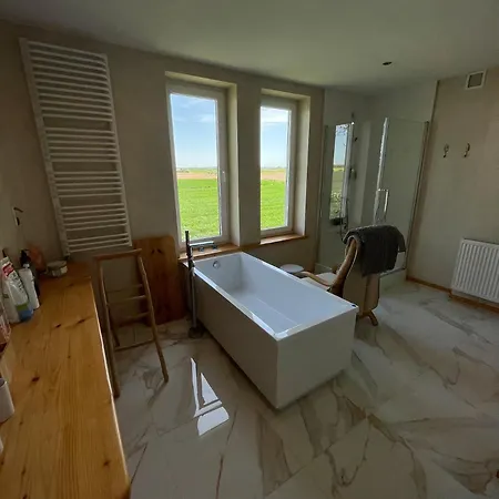 Agrokrówka - W Niecieczy